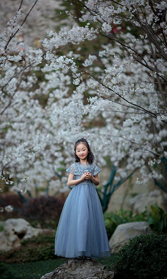 花的诗